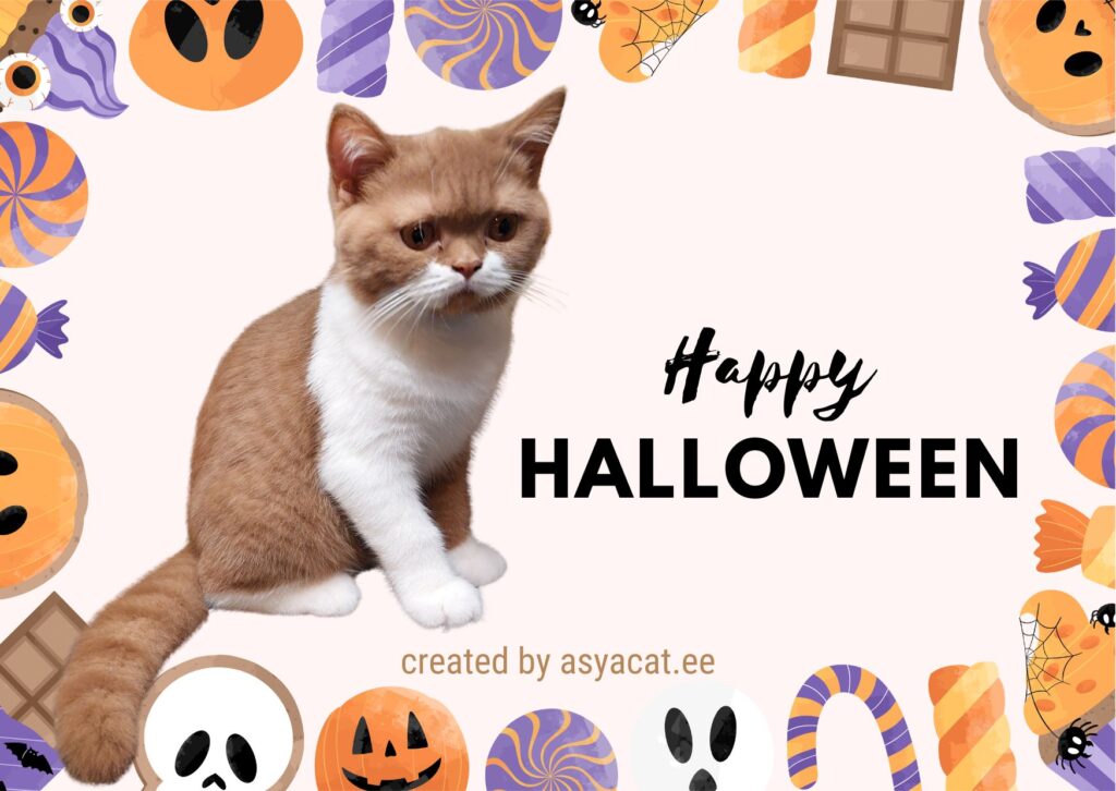 halloween 1 halloween 1