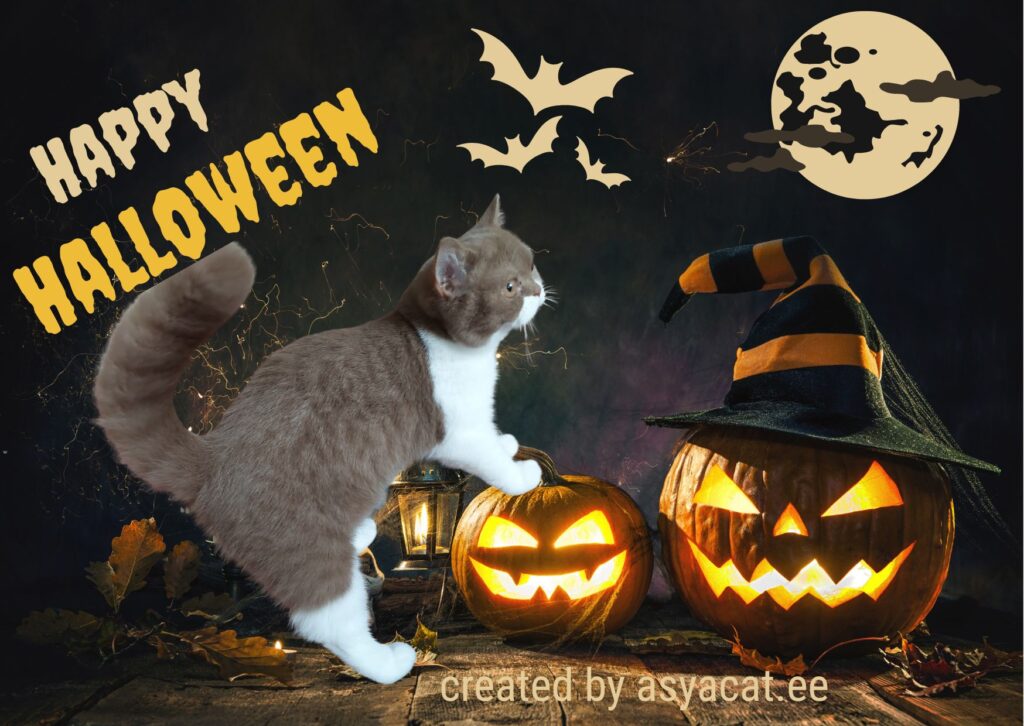 halloween 2 halloween 2