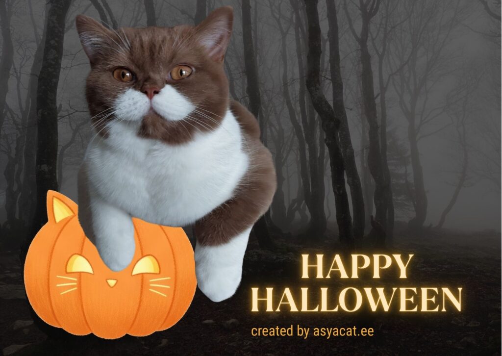 halloween 4 halloween 4