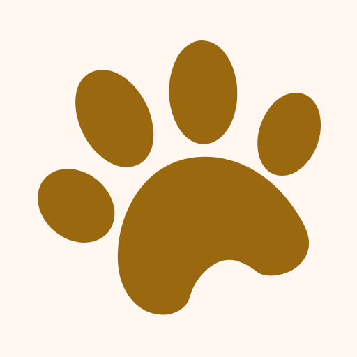 asyacat favicon asyacat favicon