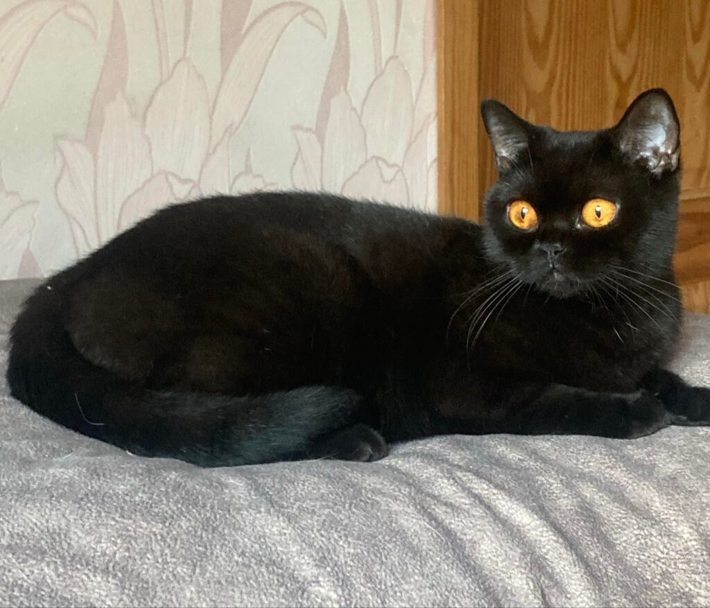 Asya's mother Asya's mother