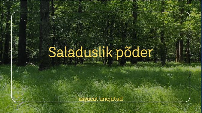 saladuslik põder