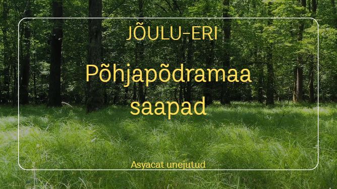 põhjapõdramaa saapad