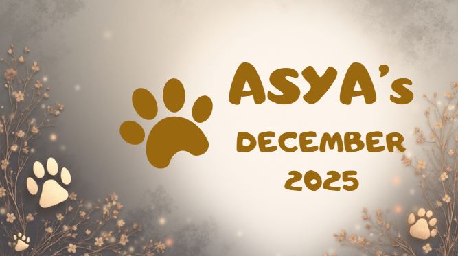 Asya detsember