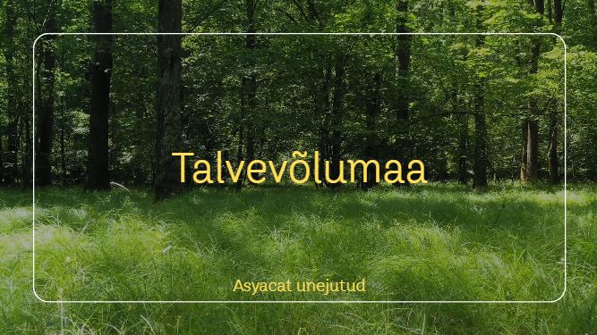 talvevõlumaa